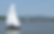 Screenshot-2019-04-04-at-09.02.35.png