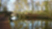 Ellel-Grange-Bridge-on-the-Lancaster-Canal.-Photo-by-Peter-Thomas.jpg